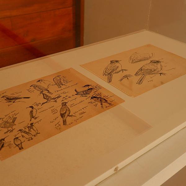 Foto 03 Exposición Embajada de Chile