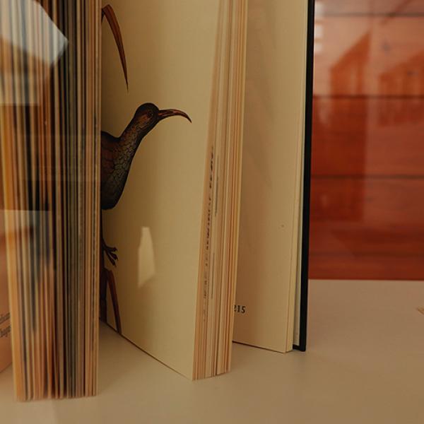 Foto 05 Exposición Embajada de Chile