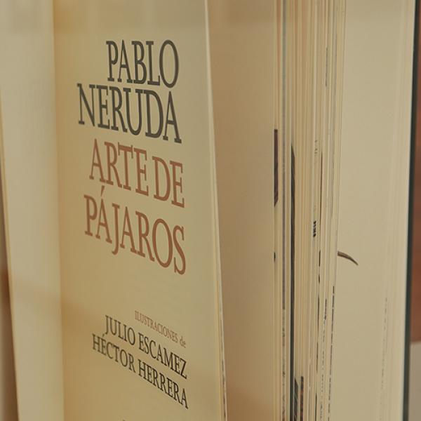 Foto 06 Exposición Embajada de Chile