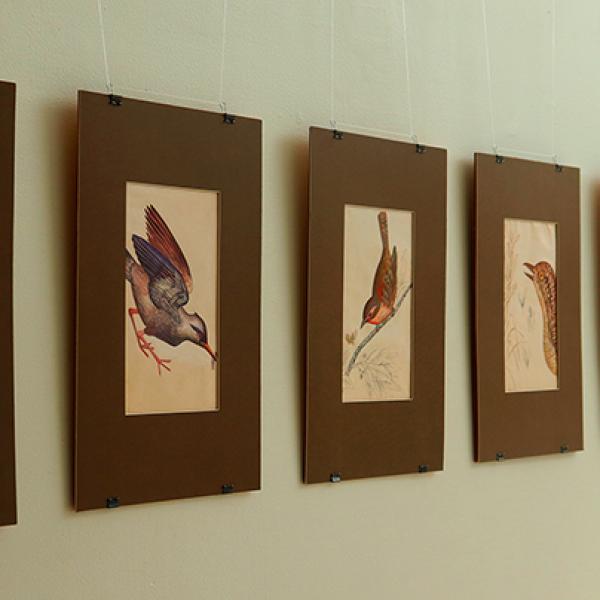 Foto 07 Exposición Embajada de Chile