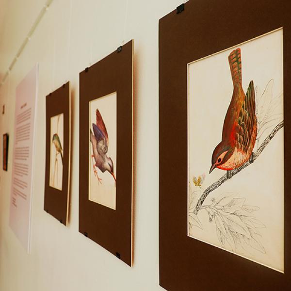 Foto 09 Exposición Embajada de Chile