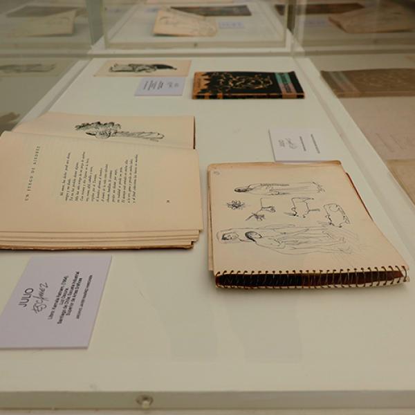 Foto 15 Exposición Embajada de Chile