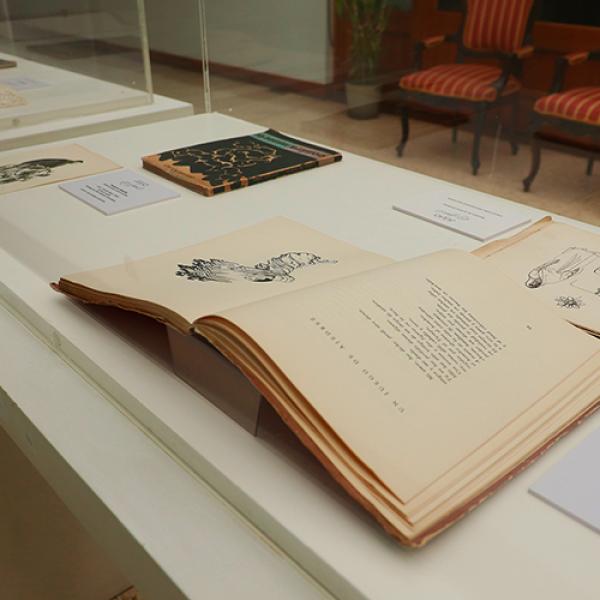 Foto 16 Exposición Embajada de Chile