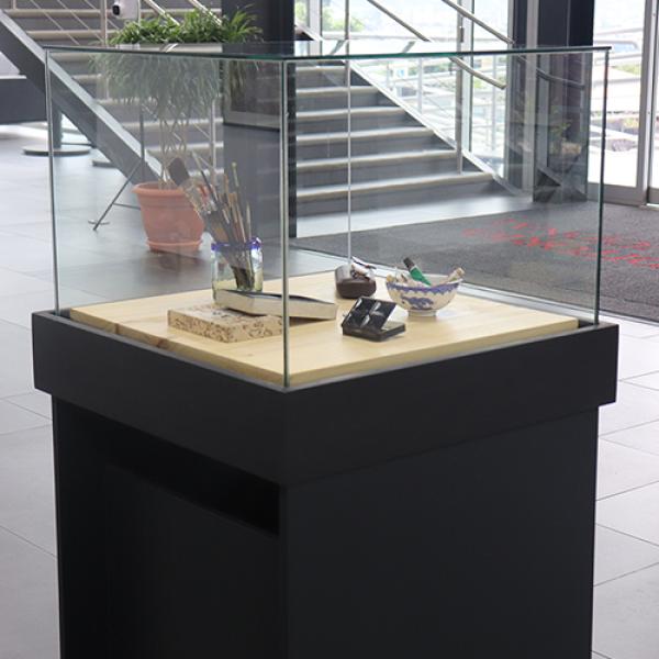 Foto 17 Exposición Auditorio