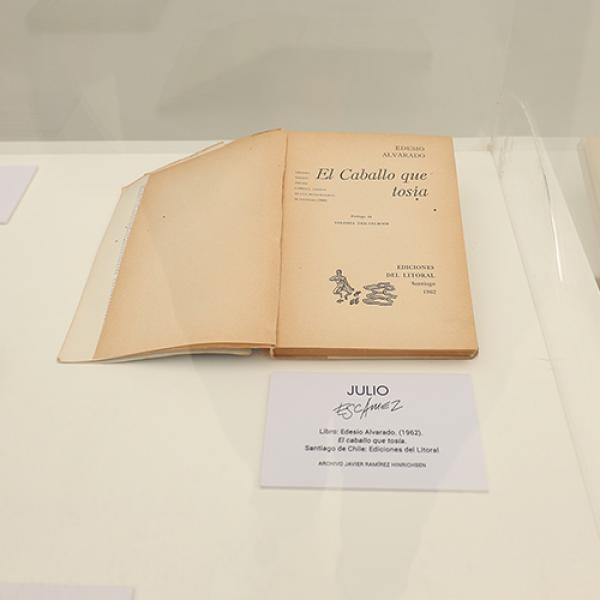 Foto 18 Exposición Embajada de Chile