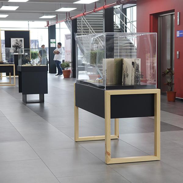 Foto 19 Exposición Auditorio