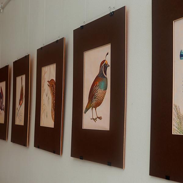 Foto 31 Exposición Embajada de Chile