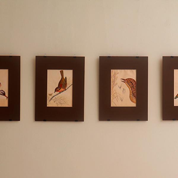 Foto 33 Exposición Embajada de Chile