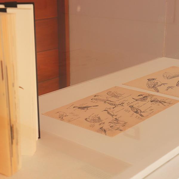 Foto 34 Exposición Embajada de Chile