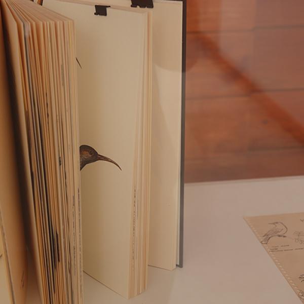 Foto 35 Exposición Embajada de Chile