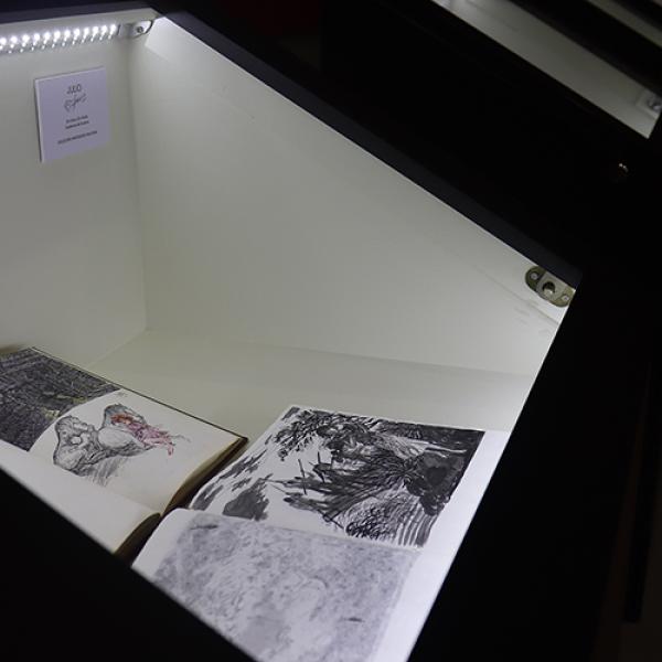 Foto 58 Exposición Auditorio